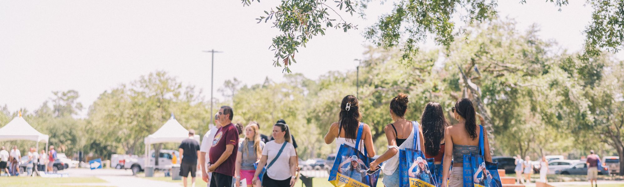 Students walking under trees on campus