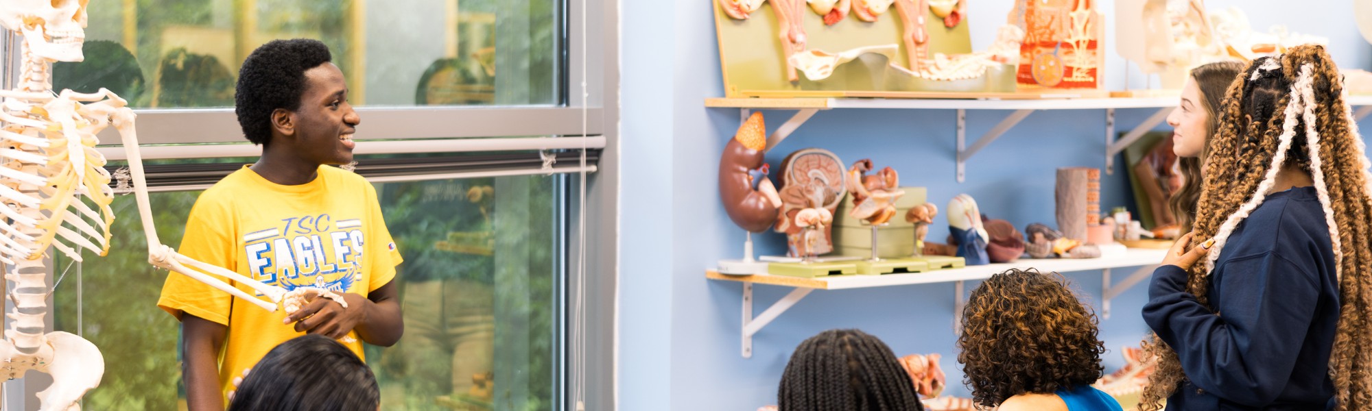Students studying in an anatomical model lab.
